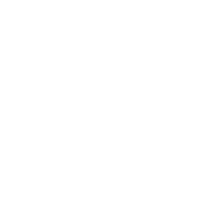 Squawk Cafe